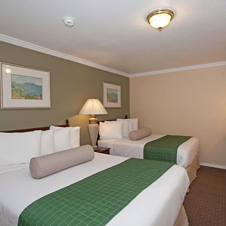 Traveler'S Inn Williams, Ca Modern Renovated Hotel Pokój zdjęcie
